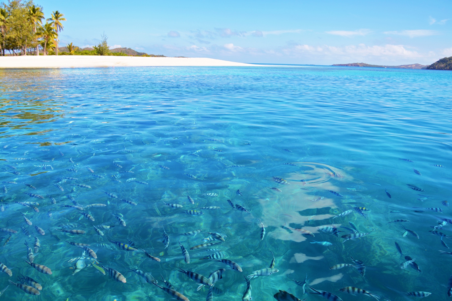 Clear Fiji coastal water